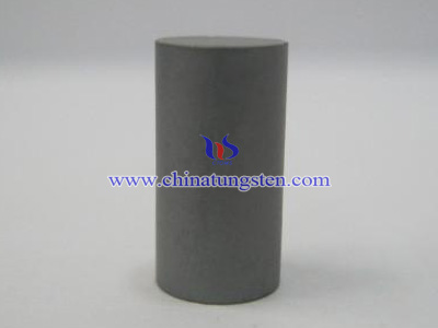 Tungsten Carbide Pins Picture