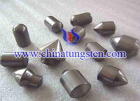 Tungsten Carbide Wear Parts Picture